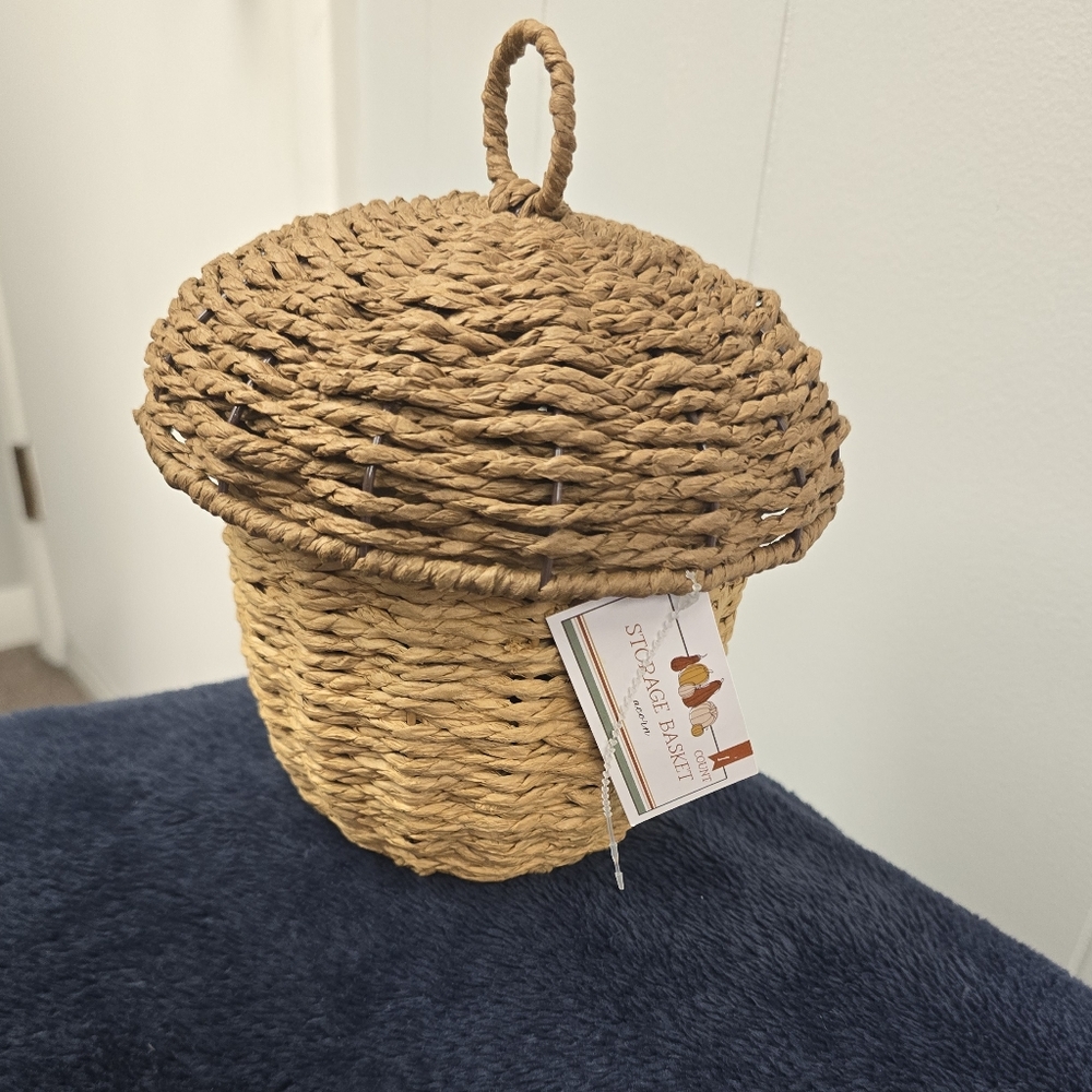 GIVEAWAY! Fall Harvast Woven Baskets- Apple, Acorn or Pumpkin - Picture 5 of 9